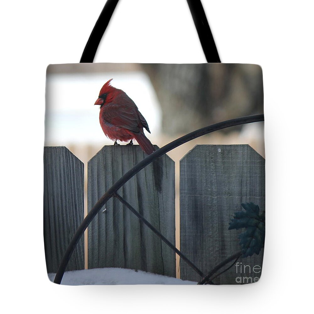 Cardinal Tote Bag featuring the photograph Cardinal 2 by Sheri Simmons
