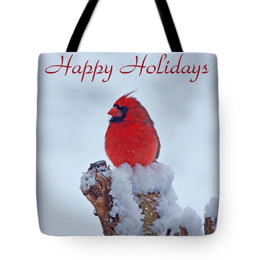 Cardinal Tote Bag featuring the photograph Cardinal Holiday Card by Sandy Keeton