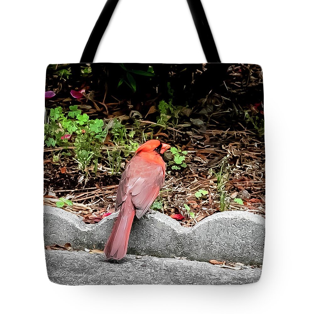 Bird Tote Bag featuring the digital art Cardinal just hanging out by Ed Stines