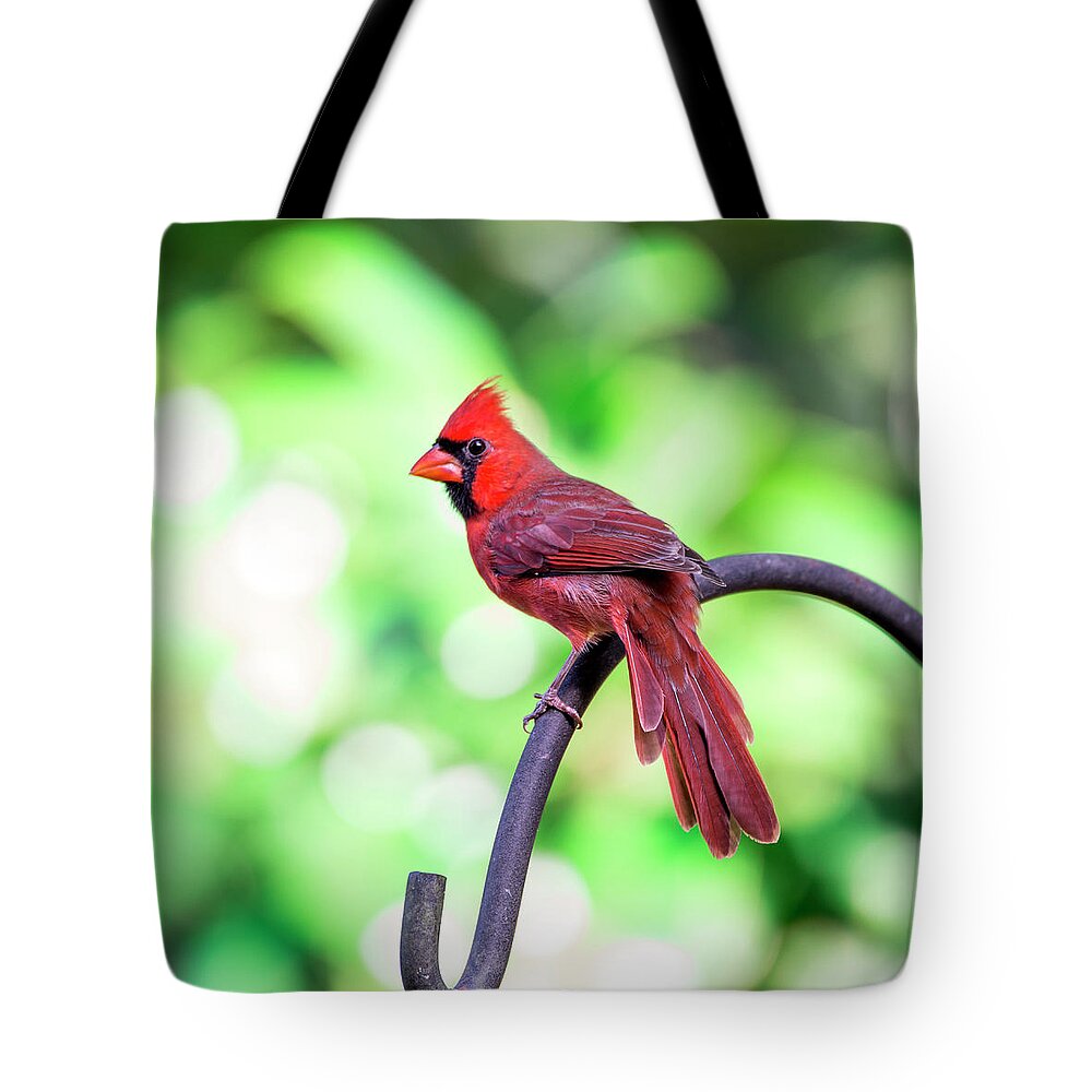 Cardinal Tote Bag featuring the photograph Cardinal Rule by Valerie Cason