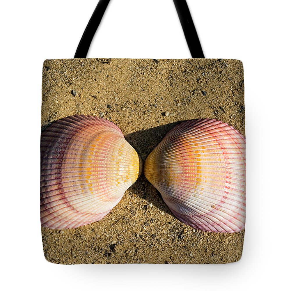 Seashell Tote Bag featuring the photograph Cardium Psudolima by Frank Wilson