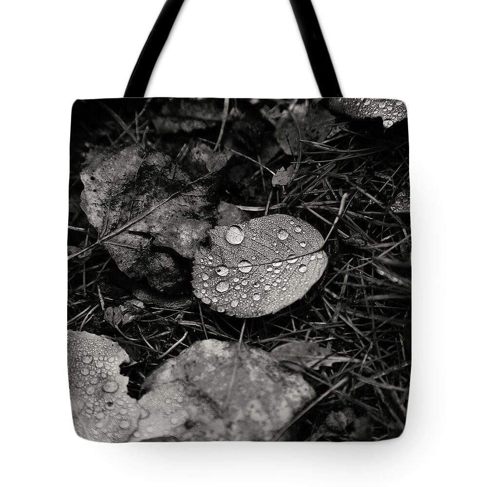 Leaf Leaves Tote Bag featuring the photograph Care For Free by J C