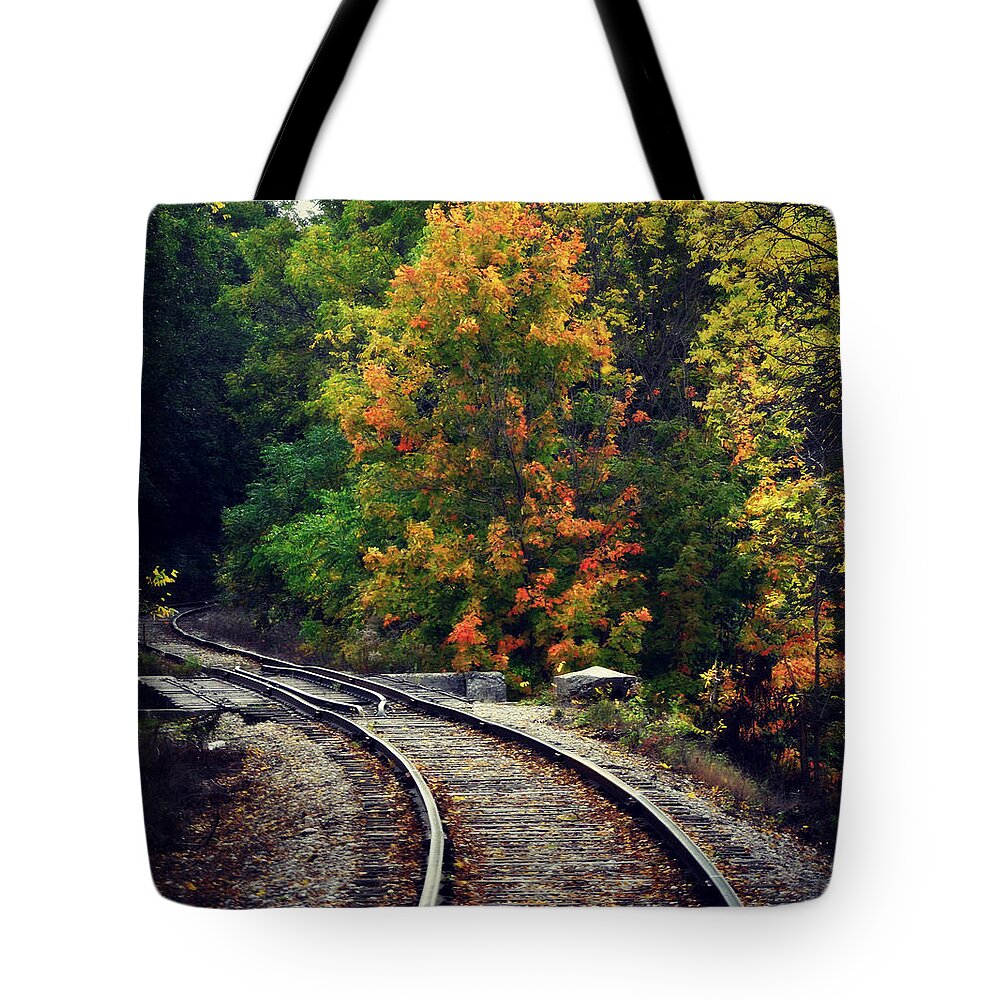 Caressing The Curve Tote Bag featuring the photograph Caressing The Curve by Cyryn Fyrcyd