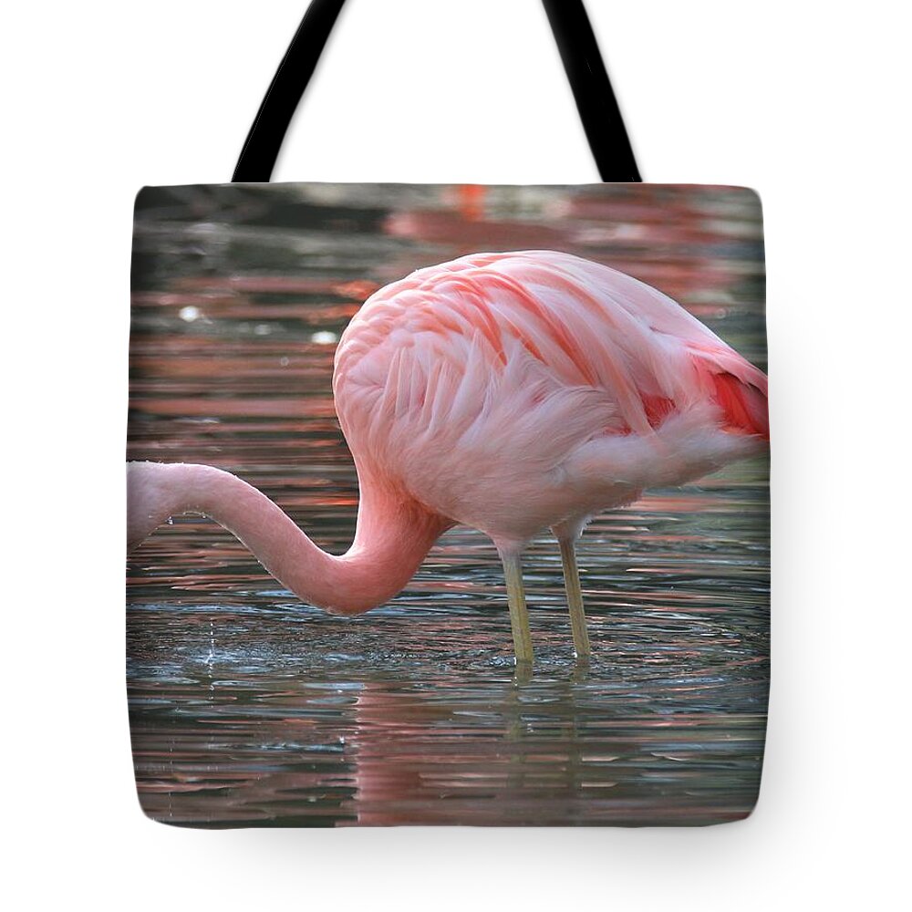 Flamingo Tote Bag featuring the photograph Caribbean Coral Colors by Living Color Photography Lorraine Lynch