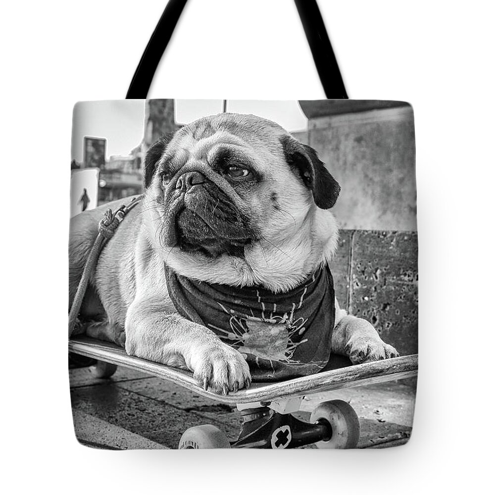 Pug Tote Bag featuring the photograph Carlos de Barcelona by Becqi Sherman