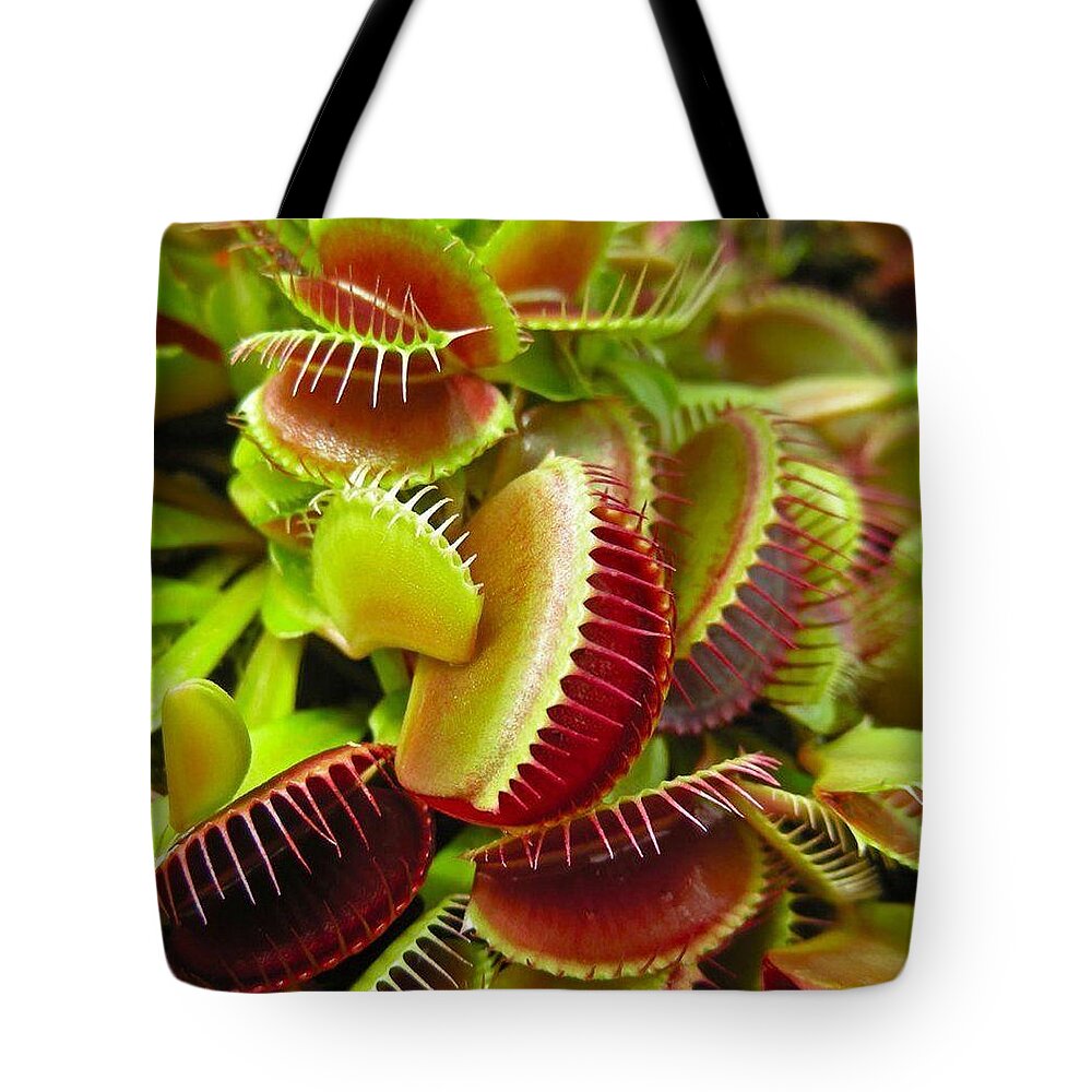 Meat Tote Bags