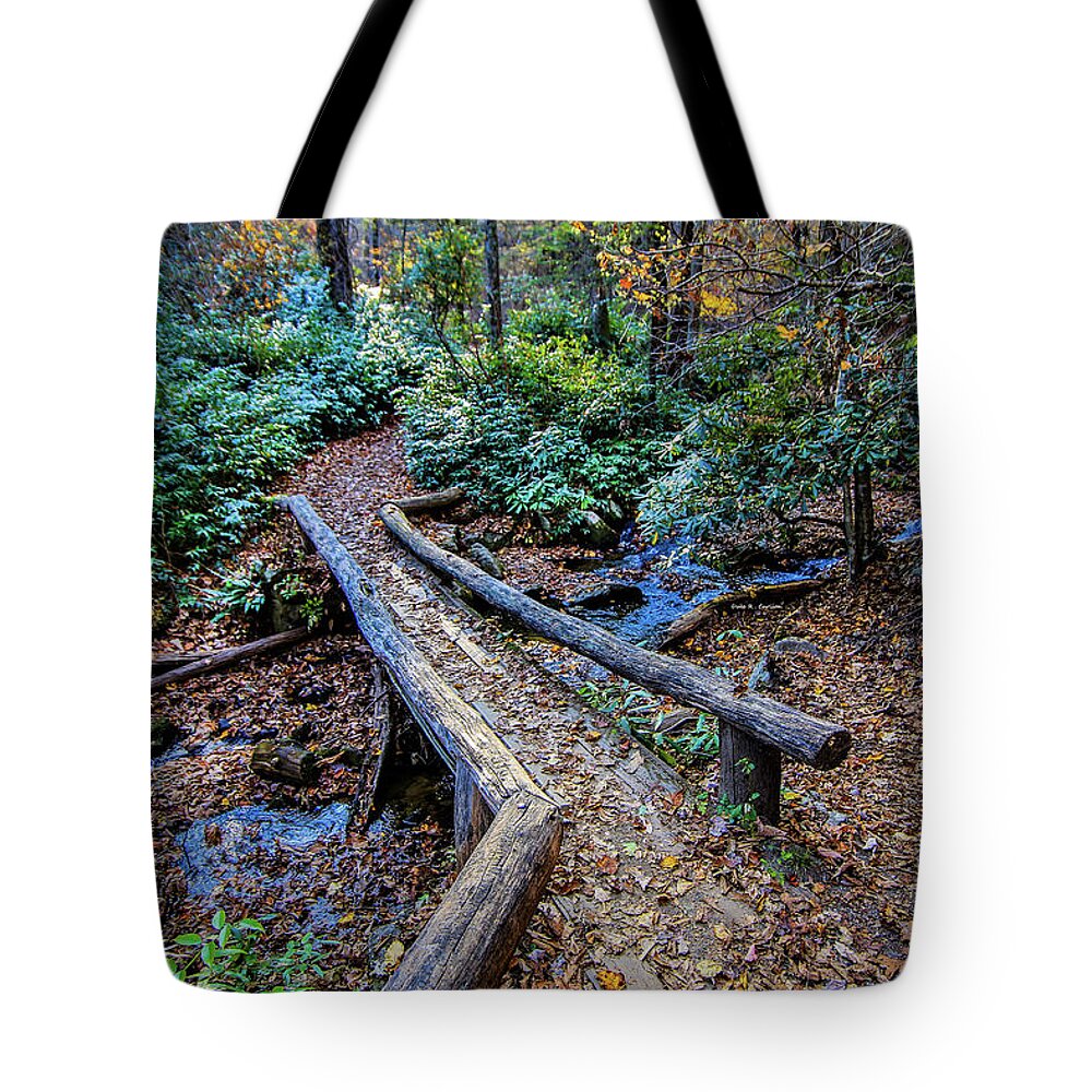 Blue Ridge Mountains Tote Bag featuring the photograph Carpet of Leaves by Dale R Carlson