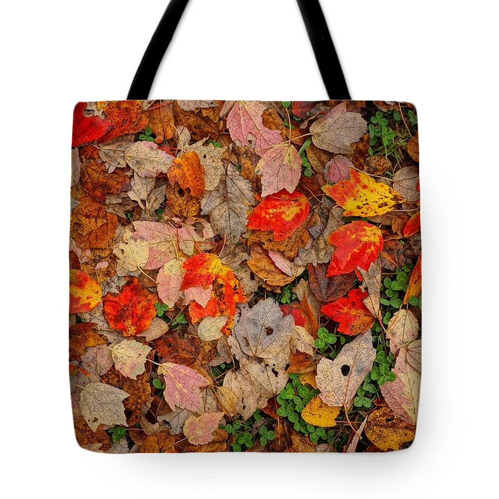  Tote Bag featuring the photograph Carpet by Rodney Lee Williams