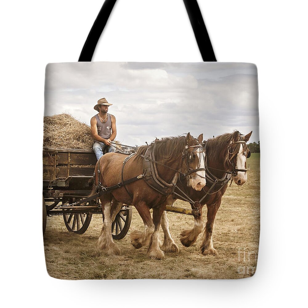 Horse Tote Bag featuring the photograph Carting Hay by Linda Lees