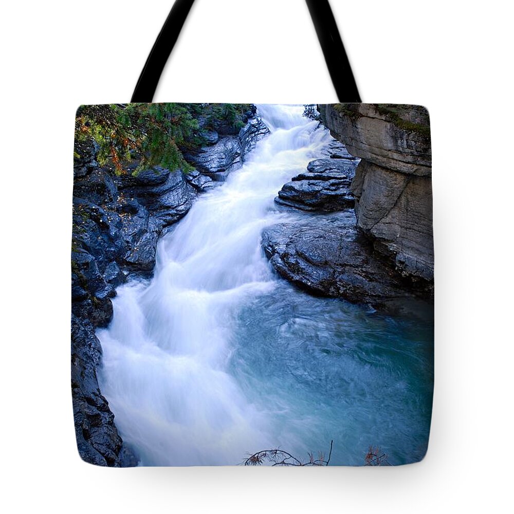 Maligne Canyon Tote Bag featuring the photograph Cascade in the Maligne Canyon by Larry Ricker