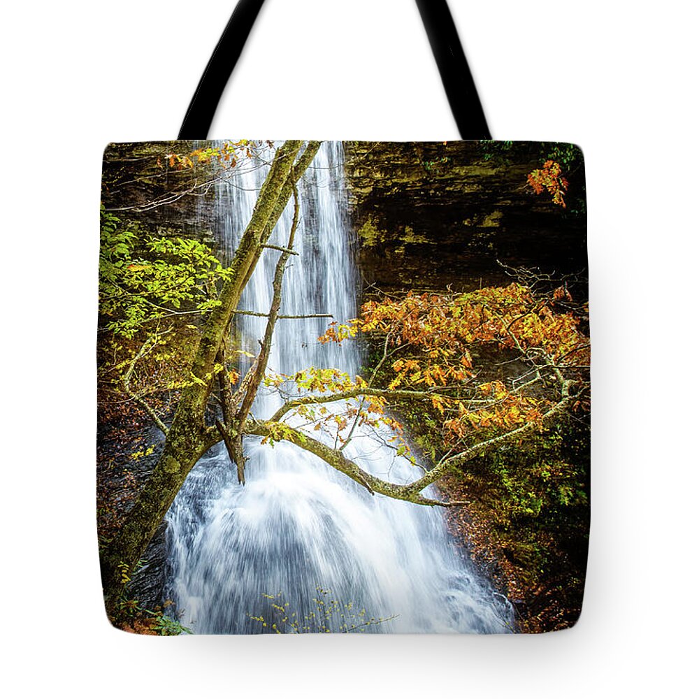 Landscape Tote Bag featuring the photograph Cascades Deck View by Joe Shrader