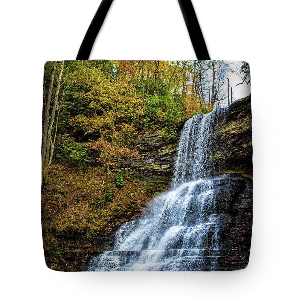 Landscape Tote Bag featuring the photograph Cascades Lower Falls by Joe Shrader