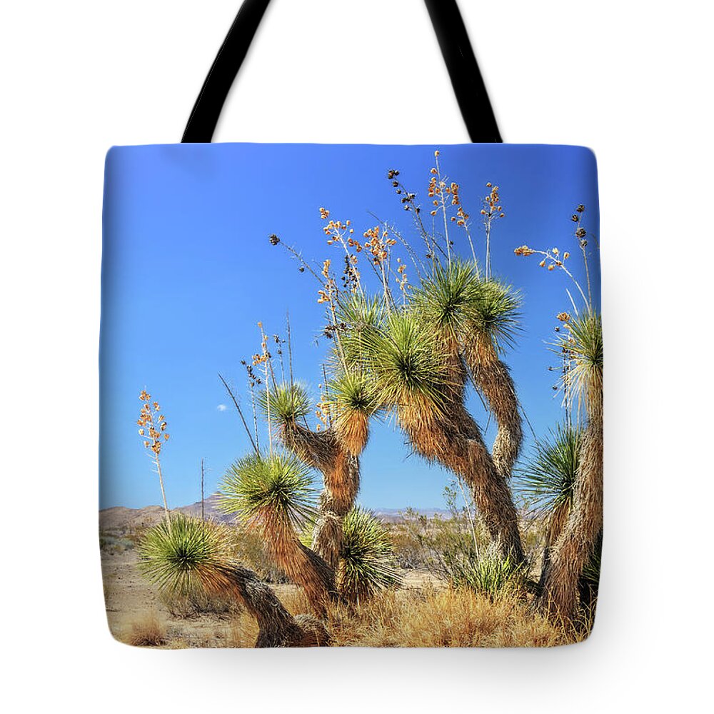 Big Bend National Park Tote Bag featuring the photograph Cast of Desert Characters by Sylvia J Zarco
