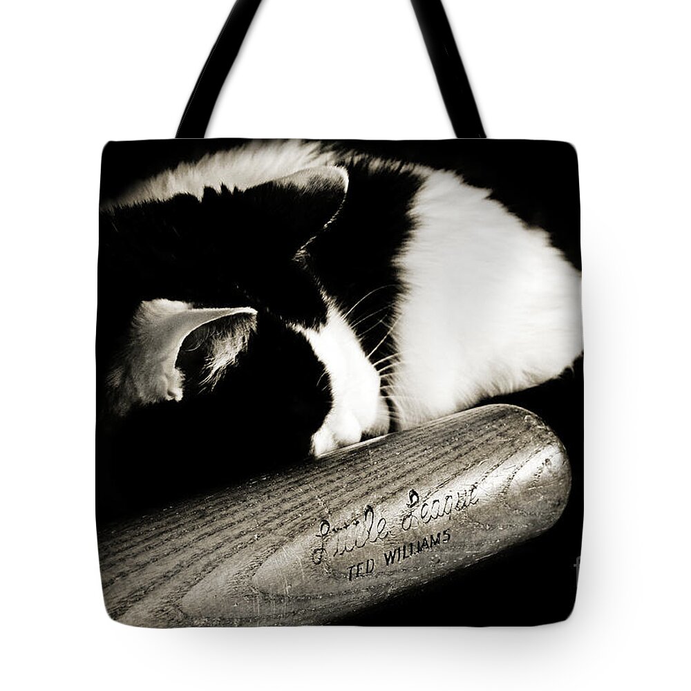 Fine Art Cat Tote Bag featuring the photograph Cat and Bat by Andee Design