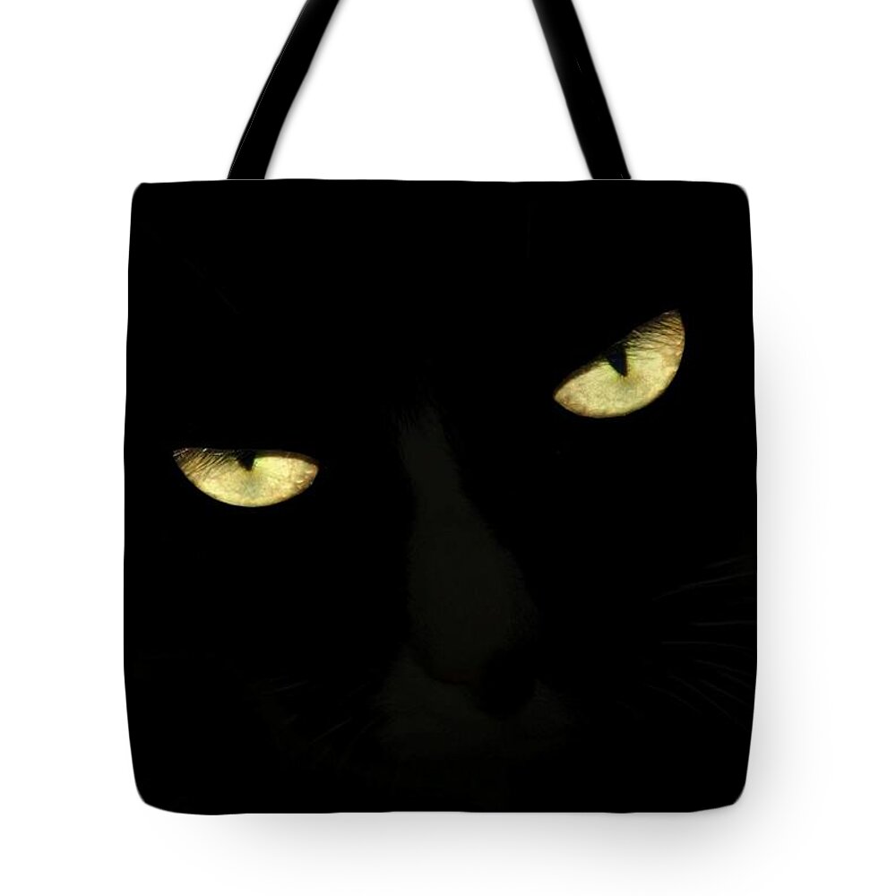 Cats Tote Bag featuring the photograph Cat Eyes II by Angie Tirado