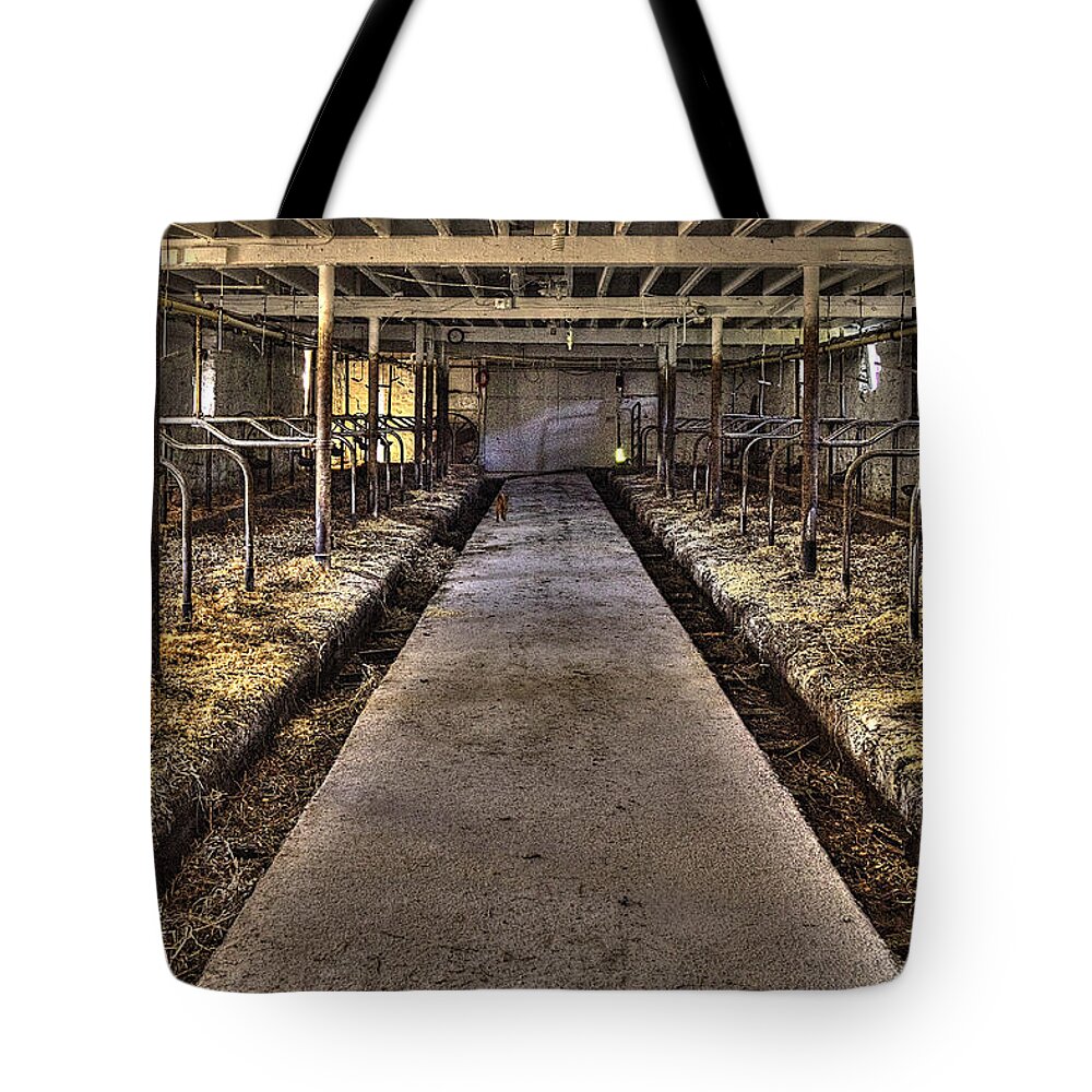Pictorial Tote Bag featuring the photograph Cat in the Milking Barn by Roger Passman
