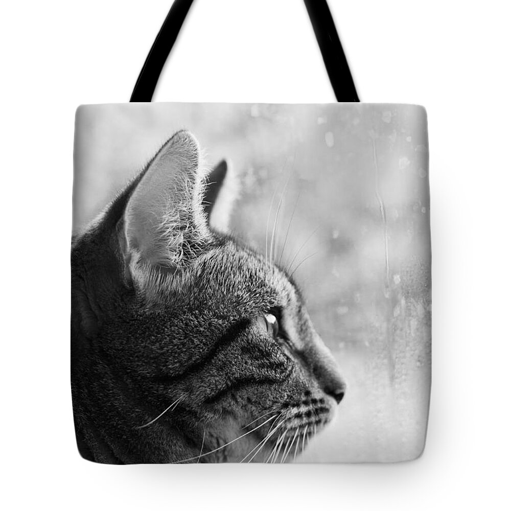 Animal Tote Bag featuring the photograph November rain by Helga Novelli