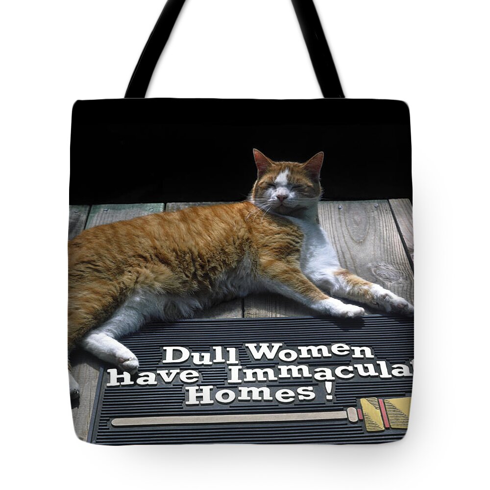 Cat Lying On Rubber Mat Tote Bag featuring the photograph Cat on Dull Women Mat by Sally Weigand