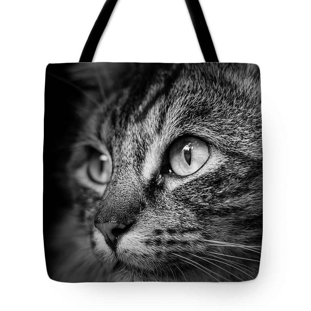 Cat Tote Bag featuring the photograph Cat Stare BW by Rick Deacon