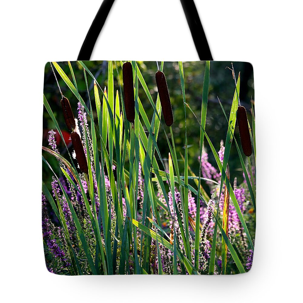Cat Tails Tote Bag featuring the photograph Cat tails in the Morning by John Meader