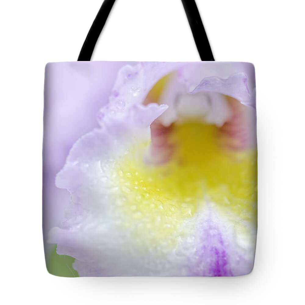 Catalaya Tote Bag featuring the photograph Catalaya Kiss by Mary Angelini