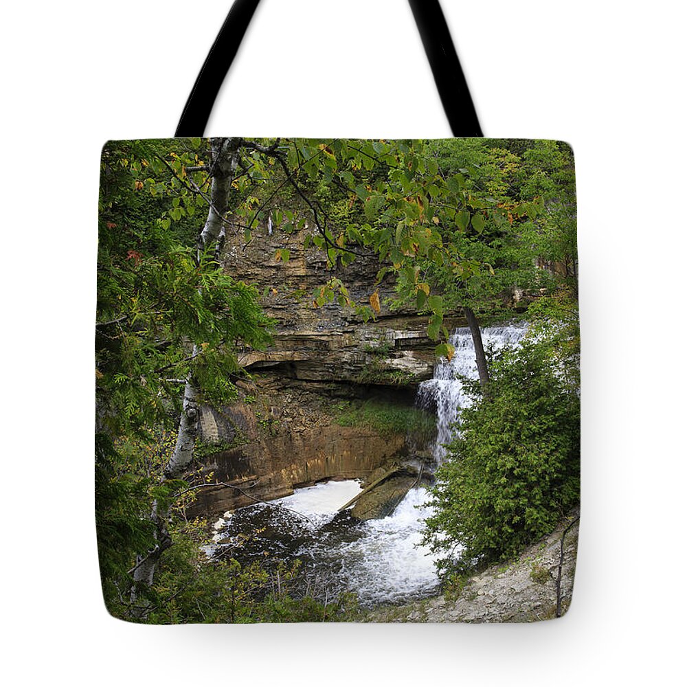 Waterfall Tote Bag featuring the photograph Cataract Falls by Gary Hall