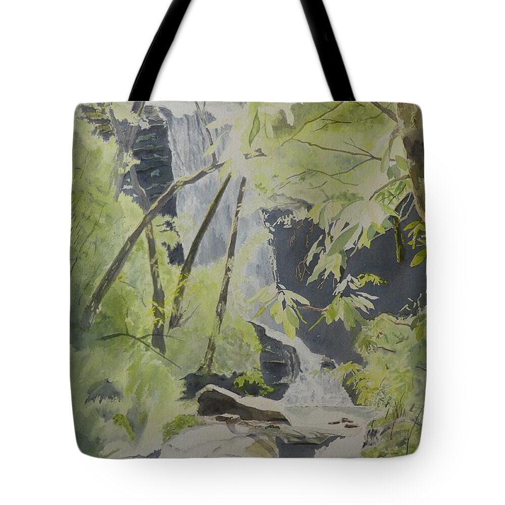 Catawbafalls Tote Bag featuring the painting Catawba Falls - the Upper Cascade by Joel Deutsch