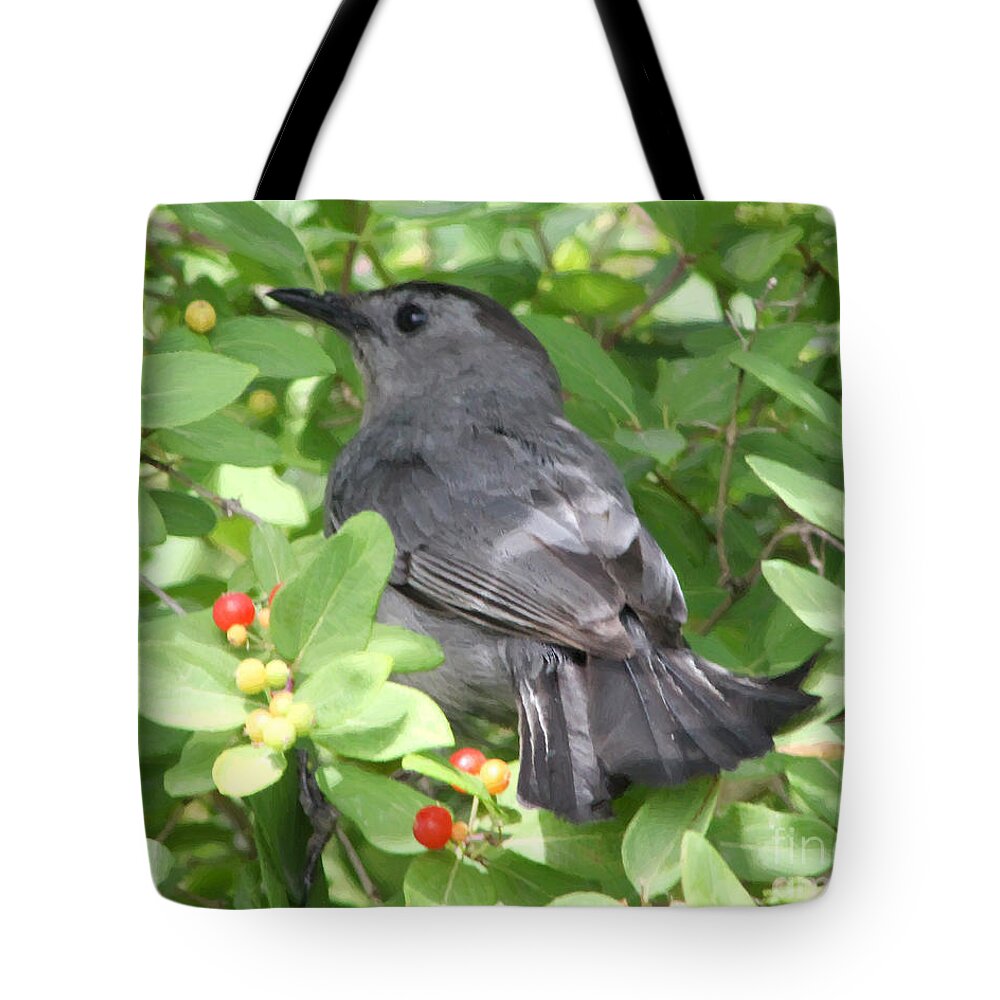 Christian Tote Bag featuring the photograph Catbird Heaven by Anita Oakley