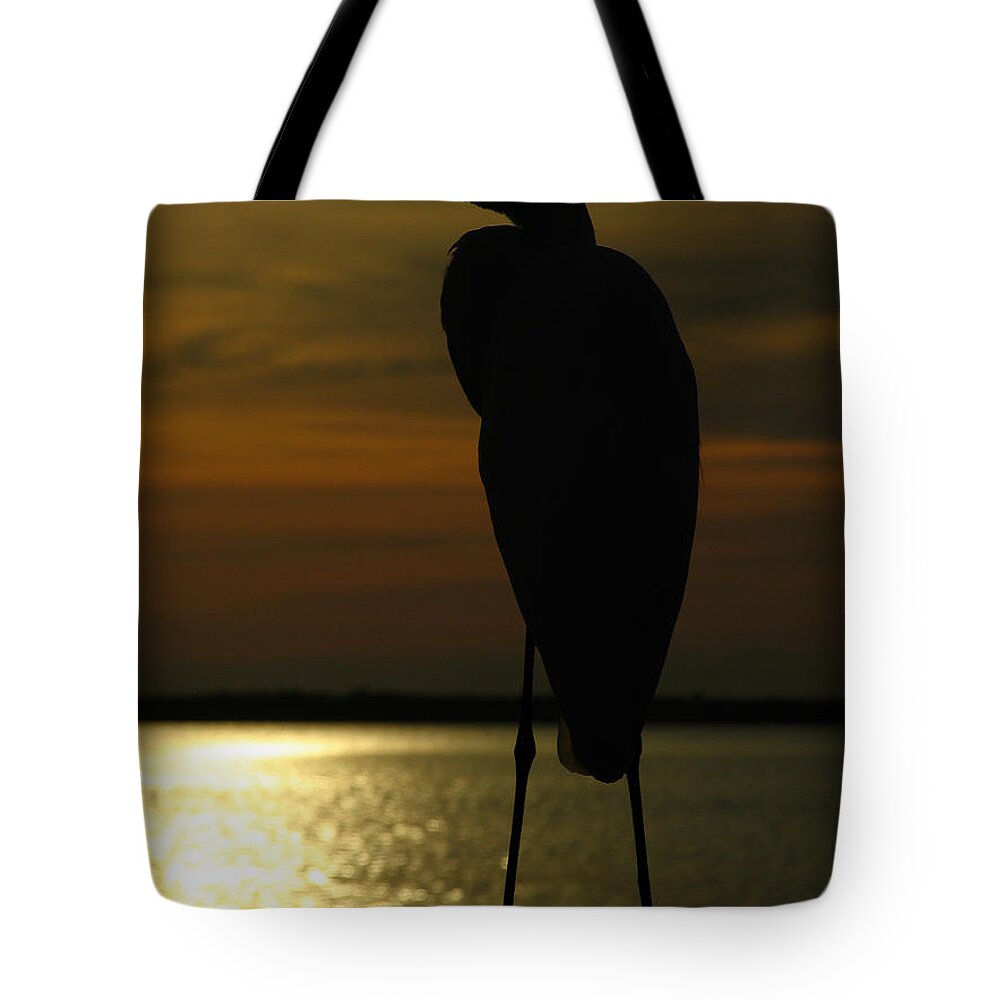 Bird Tote Bag featuring the photograph Catch You Later by Juergen Roth