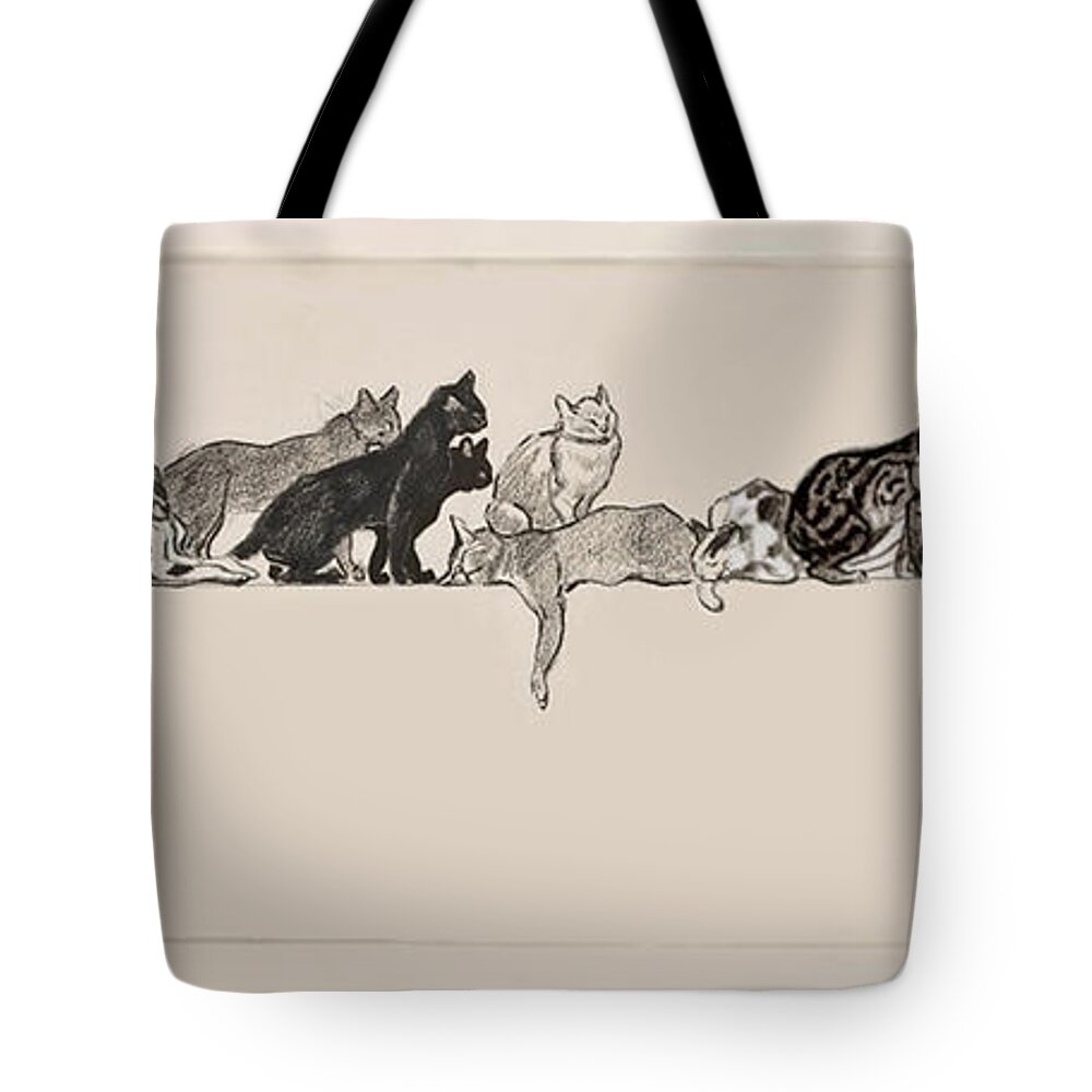 Steinlen 'seventeen Cats On A Ledge' 1901 Graphite And Chalk On Paper Tote Bag featuring the painting Cats on a Ledge by MotionAge Designs