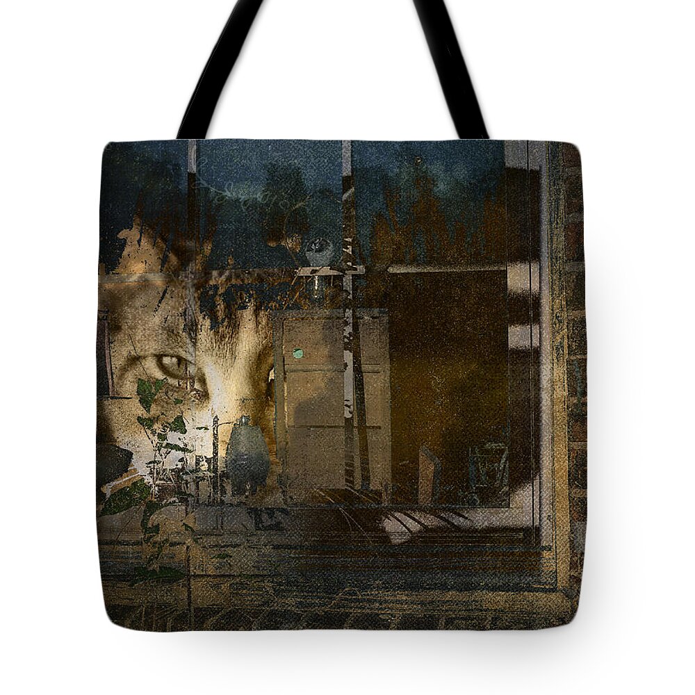 Texture Tote Bag featuring the digital art Cats Window by Sue Masterson