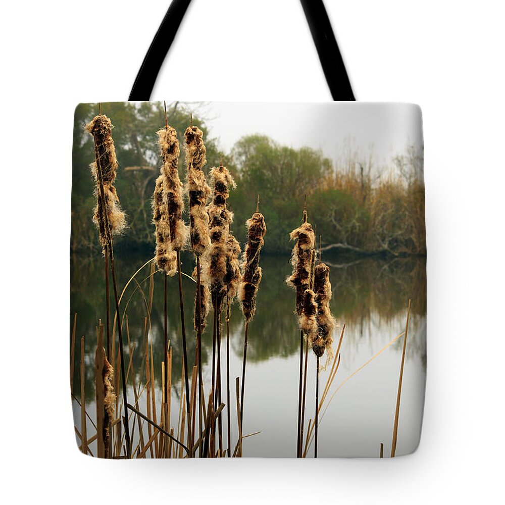 Cattails Tote Bag featuring the photograph Cattails by Travis Rogers