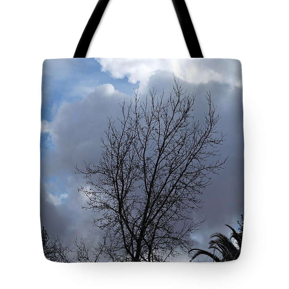 Landscape Tote Bag featuring the photograph Caught Between the Storms by Michele Myers