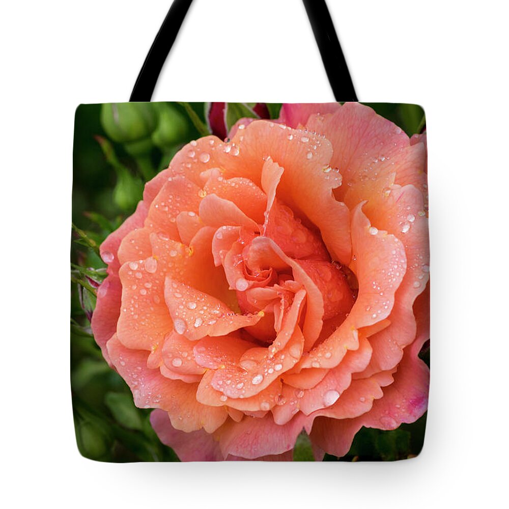 Flowers Tote Bag featuring the photograph Caught in the rain by Steven Clark