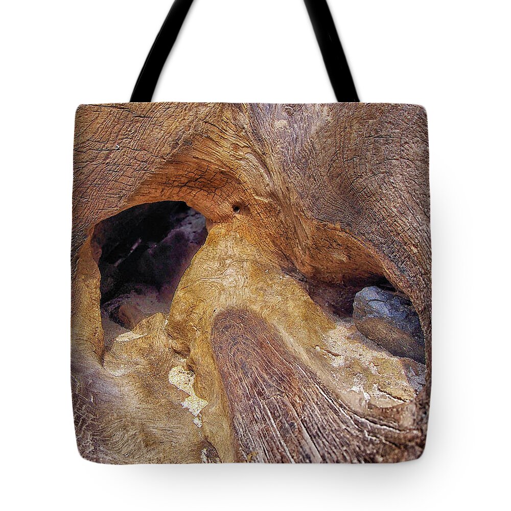 Driftwood Tote Bag featuring the photograph Cave In Disguise by Kathi Mirto