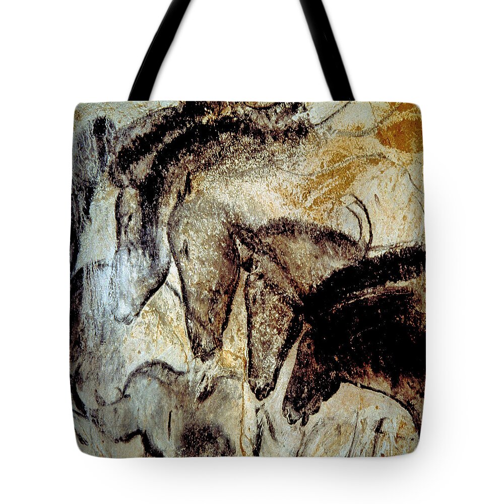 Cave Art Tote Bag featuring the photograph Cave Painting 4 by Andrew Fare