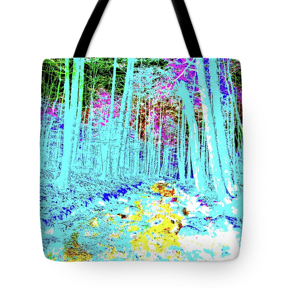 Maine Landscape Tote Bag featuring the photograph CB Late Fall 2017 35 by George Ramos