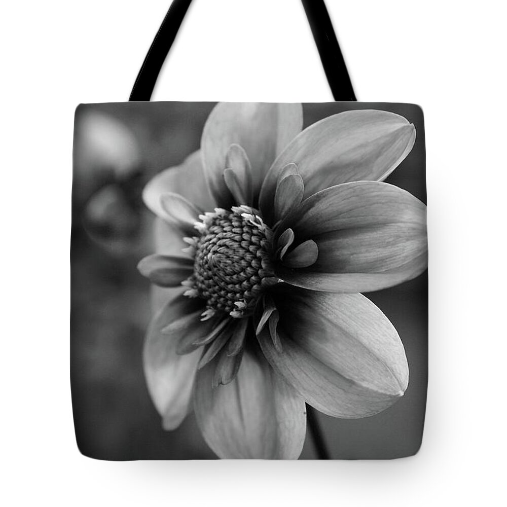 Flower Tote Bag featuring the photograph Center attraction by Sheila Ping