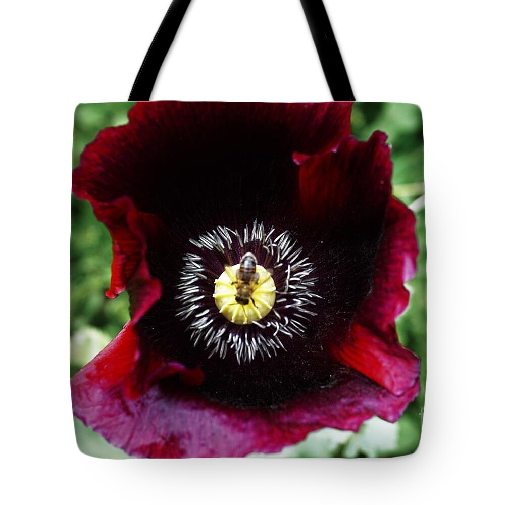 Poppy Tote Bag featuring the photograph Centered by Merle Grenz