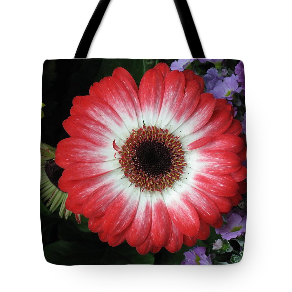 Tote Bag featuring the photograph Centerfold by Ron Monsour