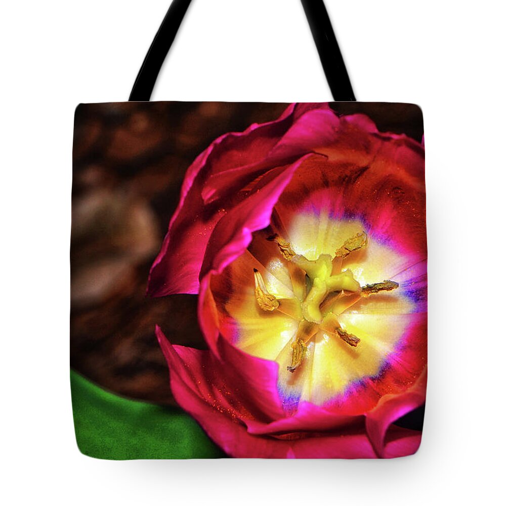 Red Tote Bag featuring the photograph Centerpiece - Grand Opening RedTulip 005 by George Bostian