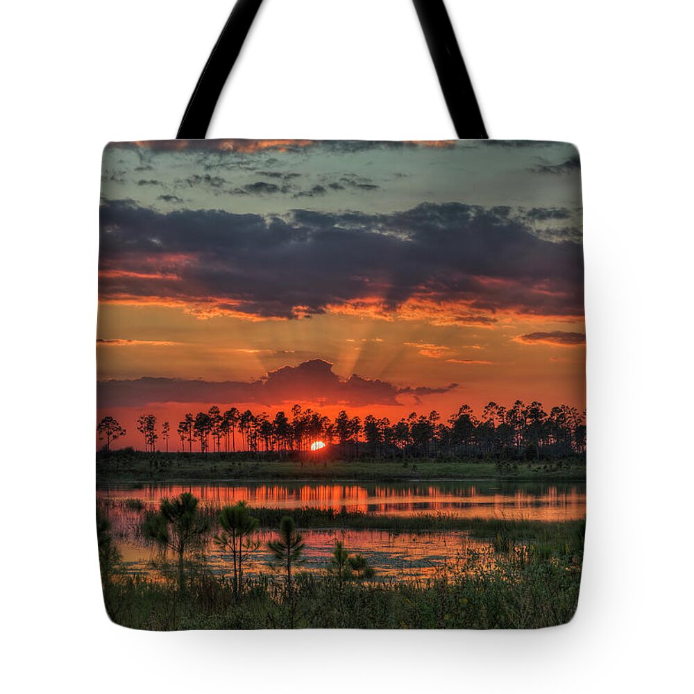 Landscape Tote Bag featuring the photograph Central Florida by Justin Battles
