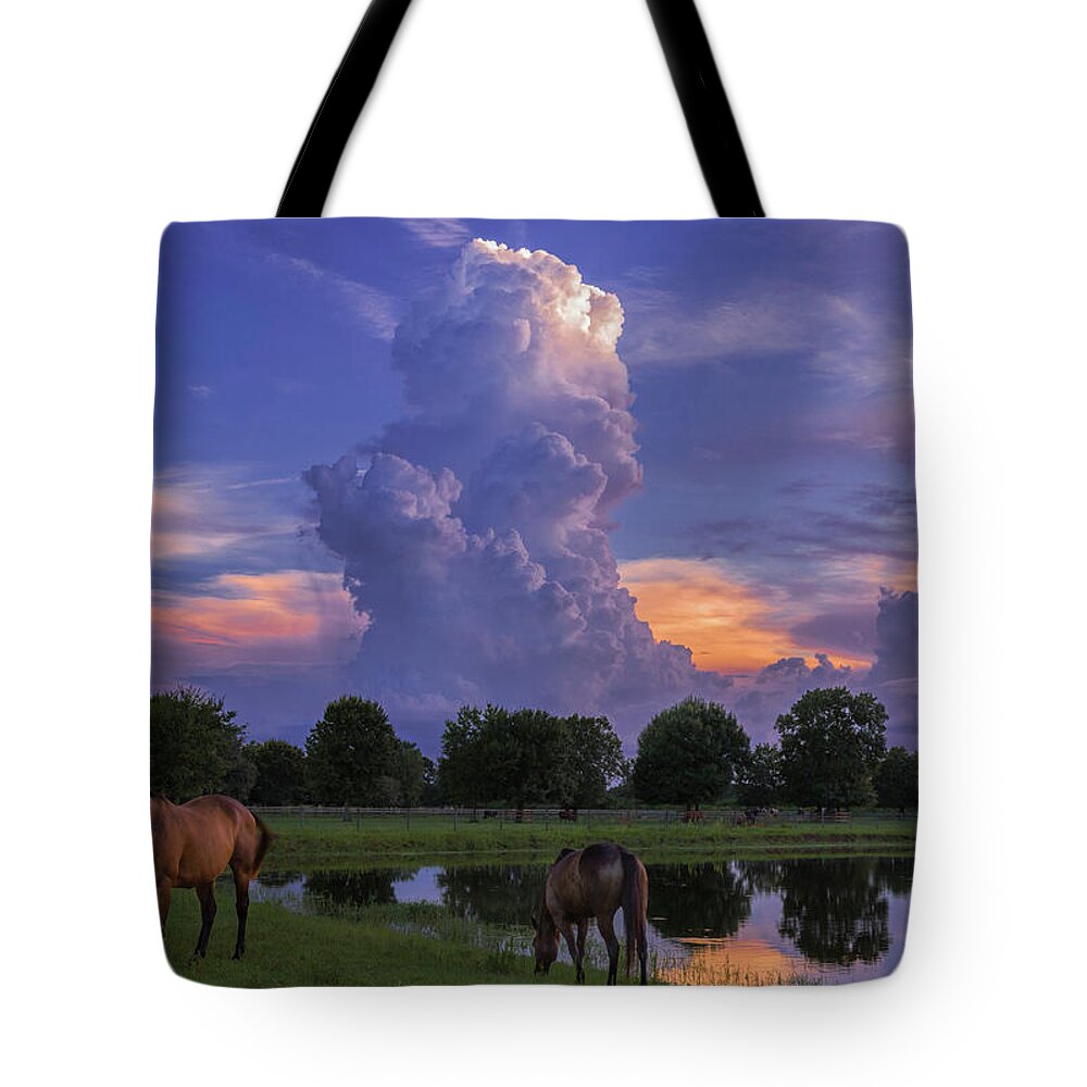 Ladscape Tote Bag featuring the photograph Central Florida Summer by Justin Battles