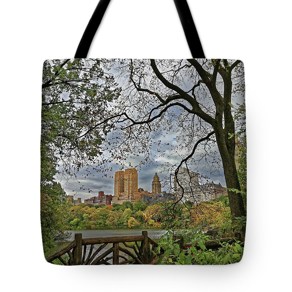 Central Park Tote Bag featuring the photograph Central Park from the Brambles by Doolittle Photography and Art