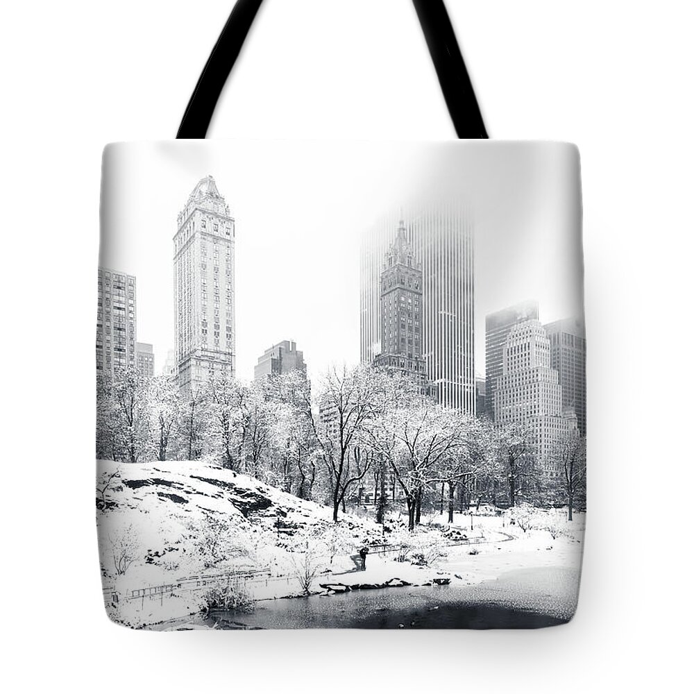 Snow Central Park Tote Bags