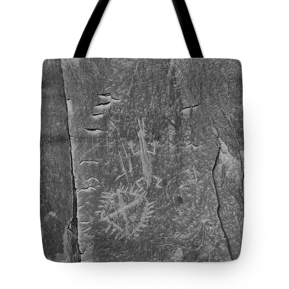  Tote Bag featuring the photograph Chaco Petroglyph Figures Black And White by Adam Jewell
