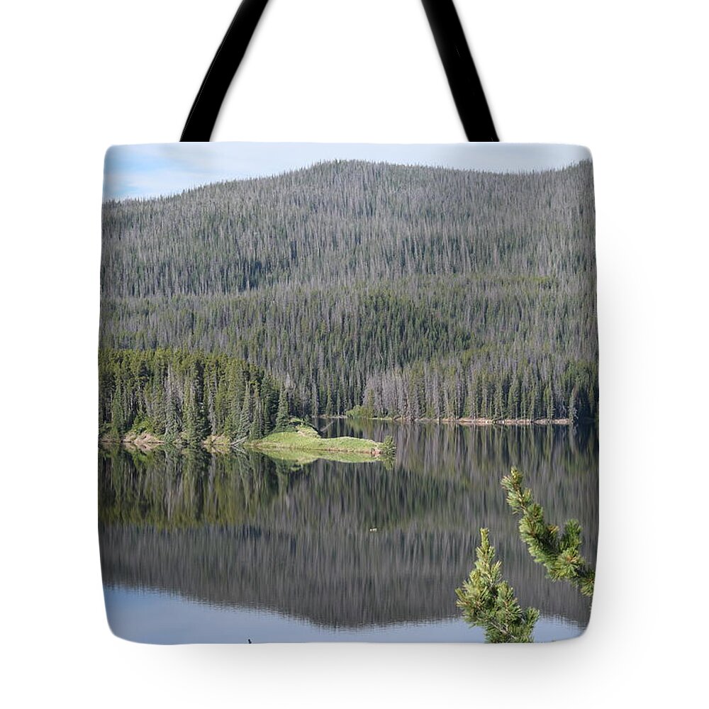 Blue Tote Bag featuring the photograph Chambers Lake Hwy 14 CO by Margarethe Binkley