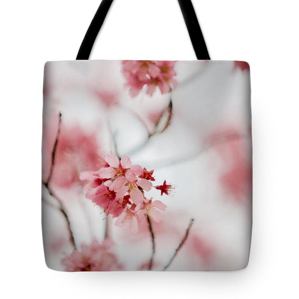 Flower Tote Bag featuring the photograph Champagne Flowers by Lara Morrison