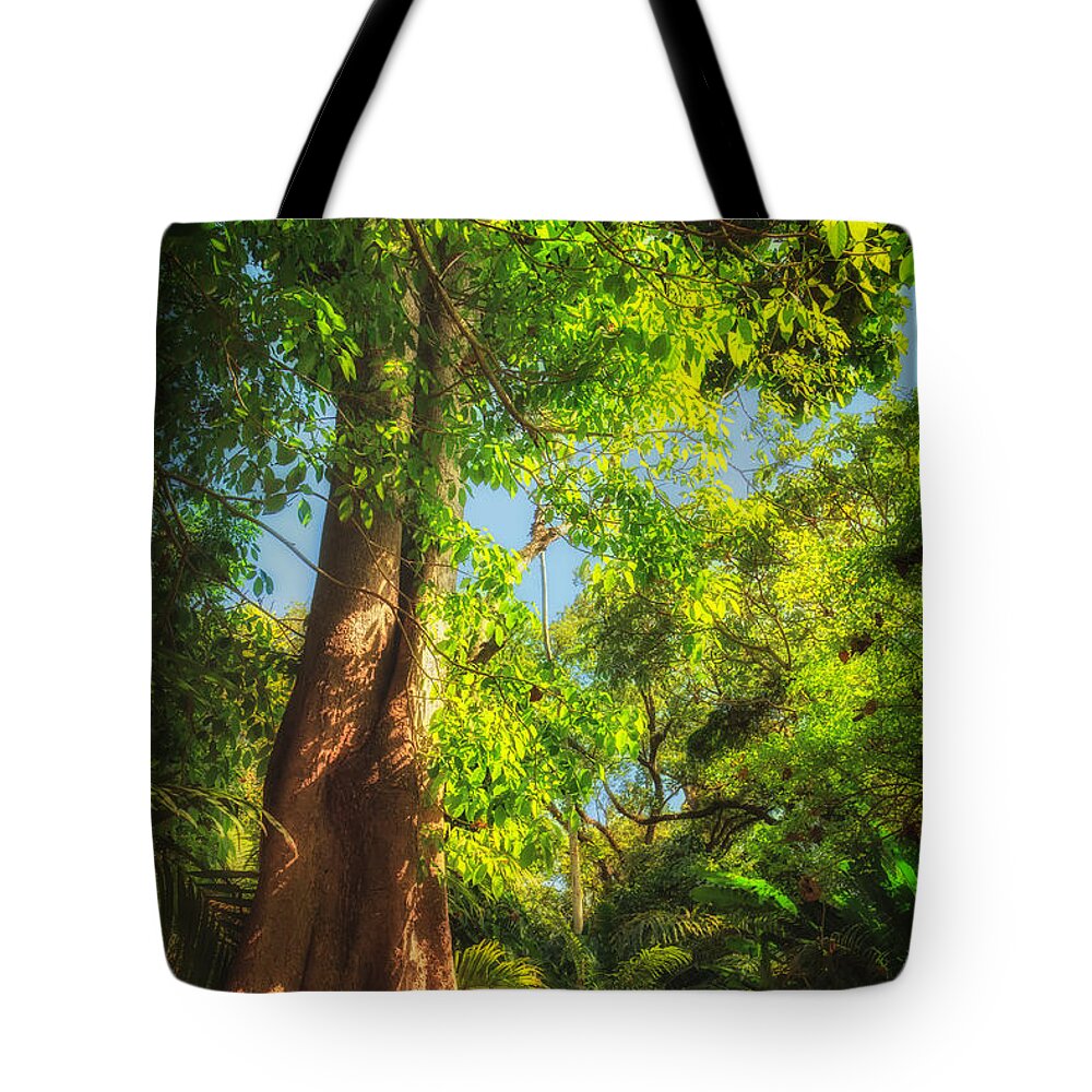 Davie Tote Bag featuring the photograph Champion Tree by Sylvia J Zarco