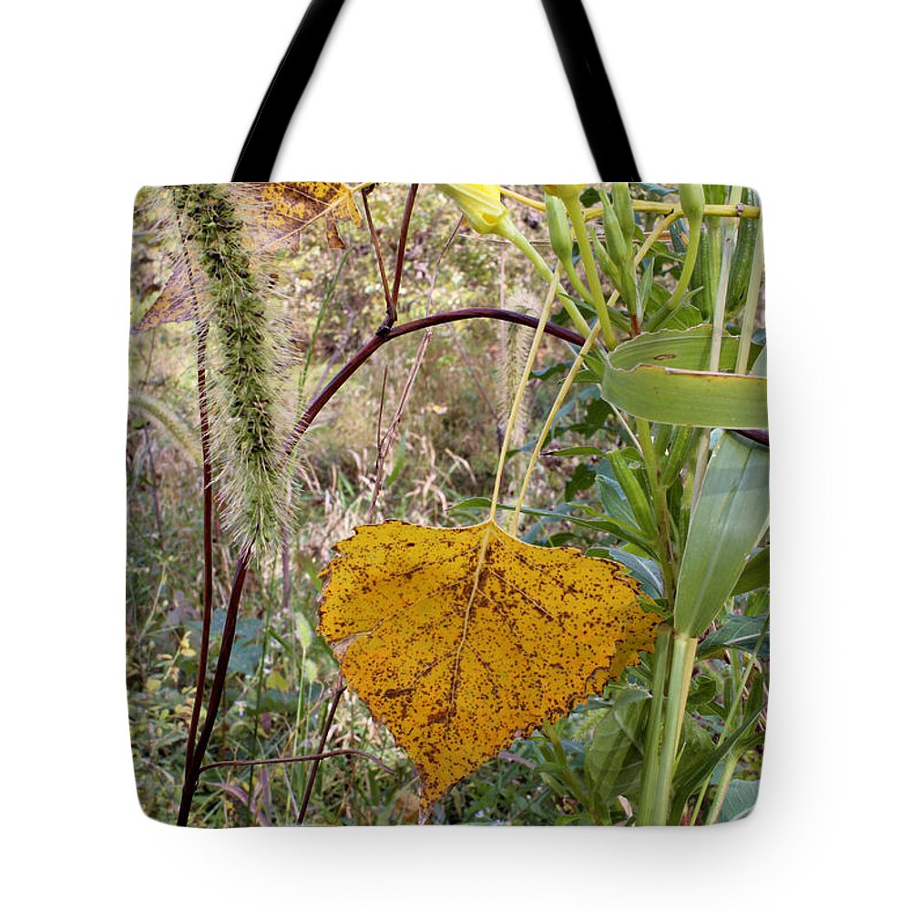 Fall Tote Bag featuring the photograph Change in the Air by Scott Kingery